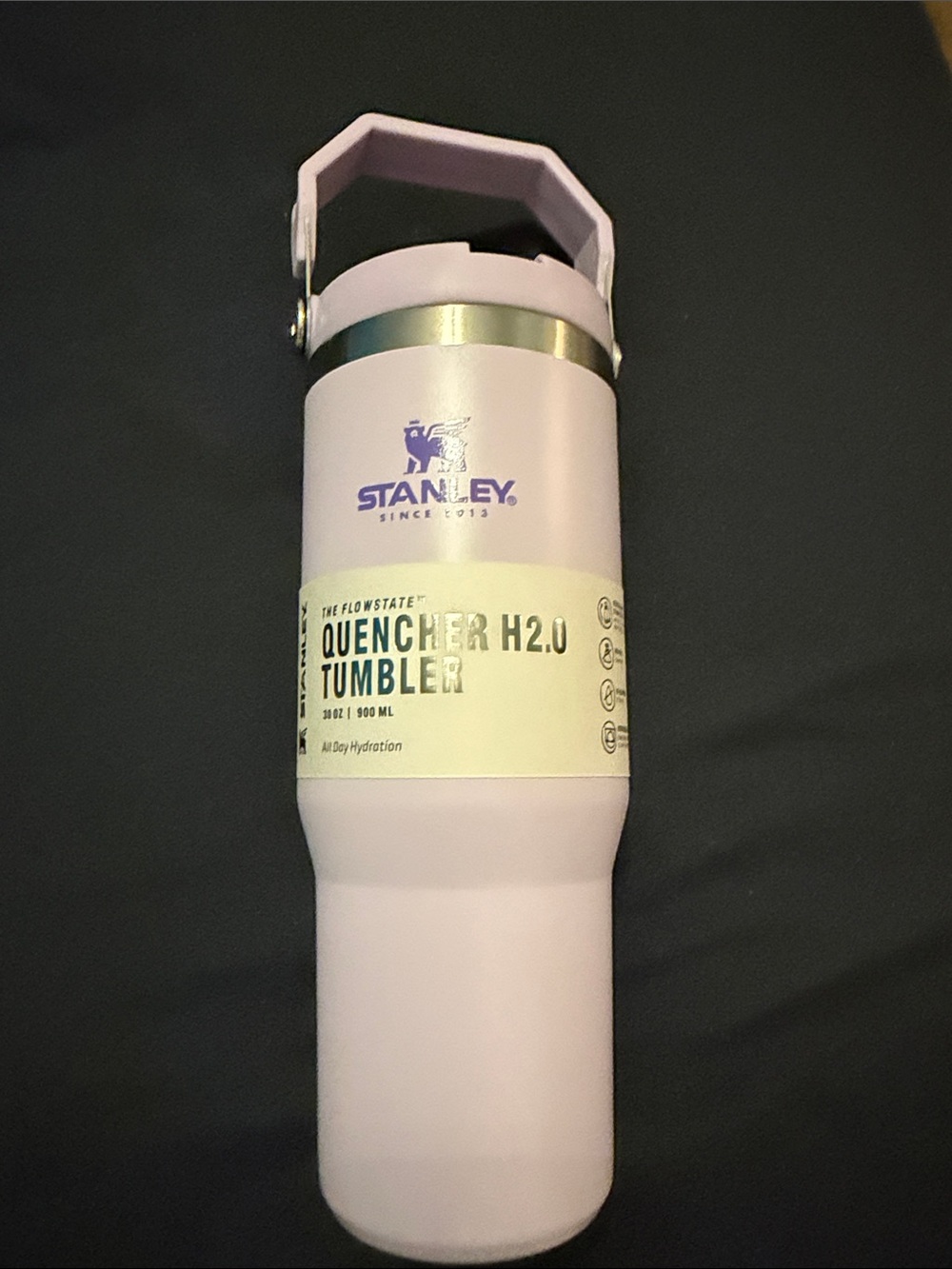 Stanley Quencher Tumbler - Purple & Silver Accents
